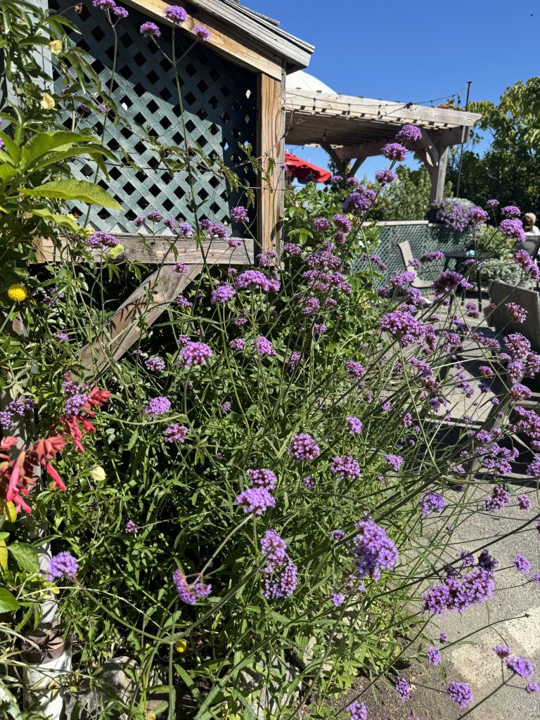 Escape To Maine