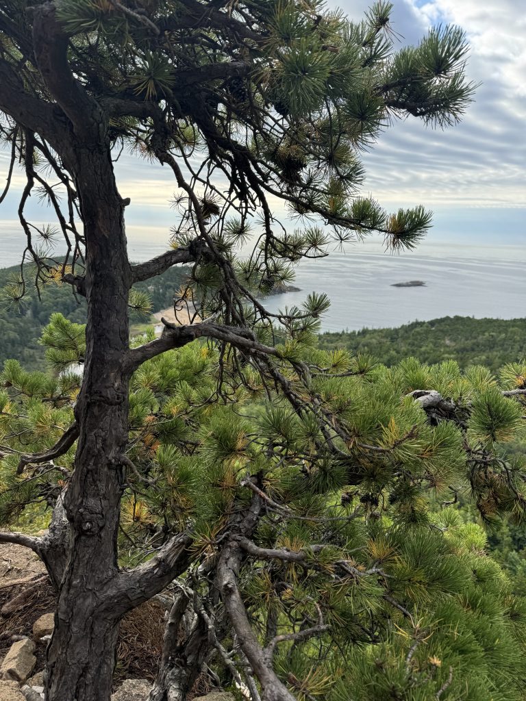 Escape To Maine
