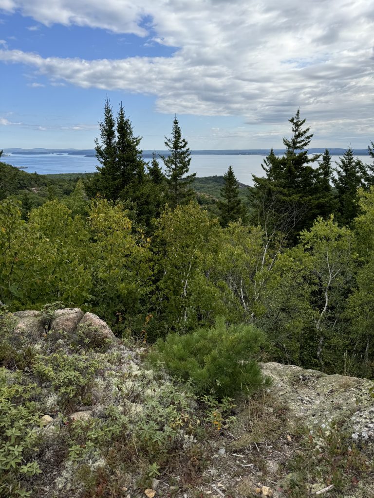 Escape To Maine