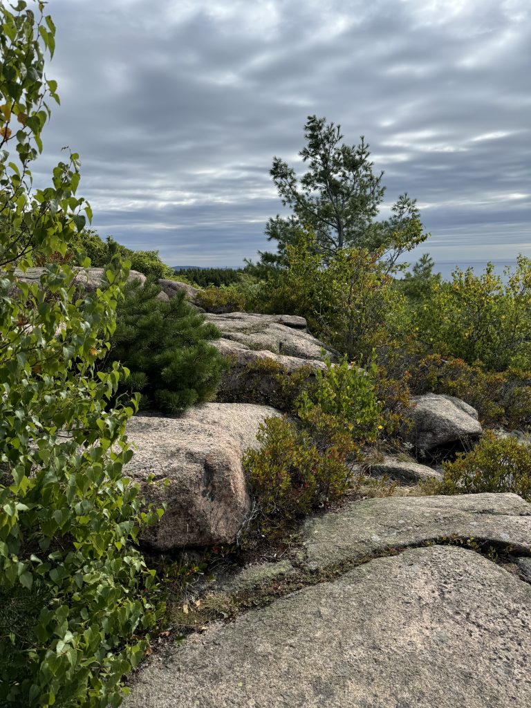Escape To Maine