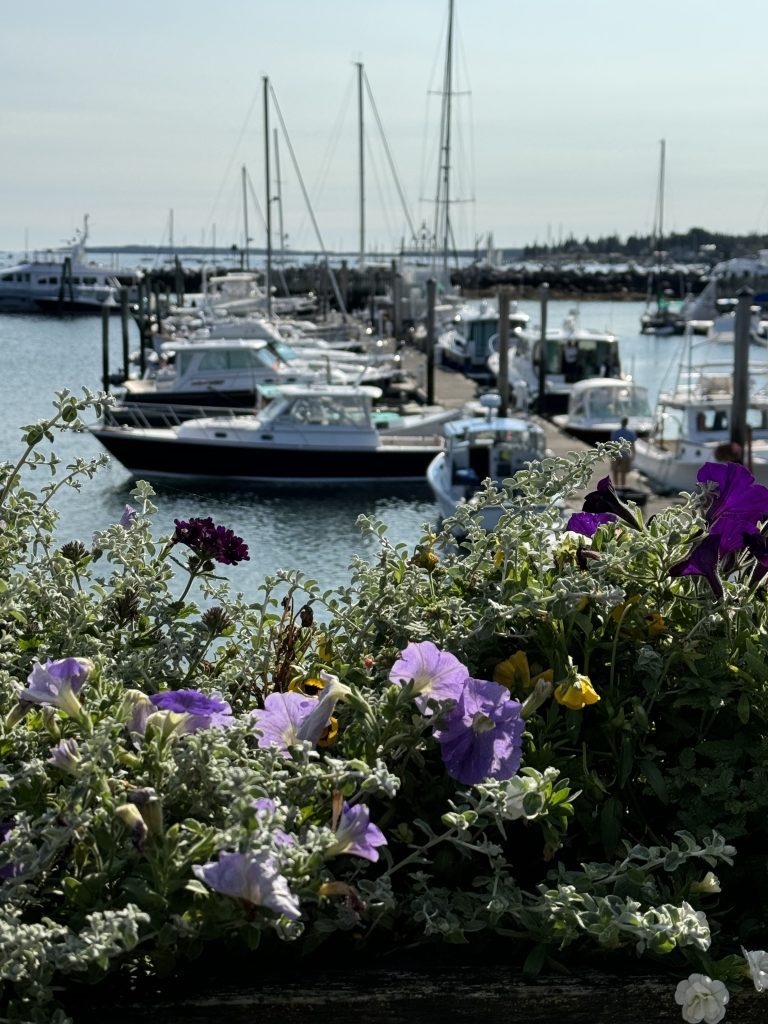 Escape To Maine