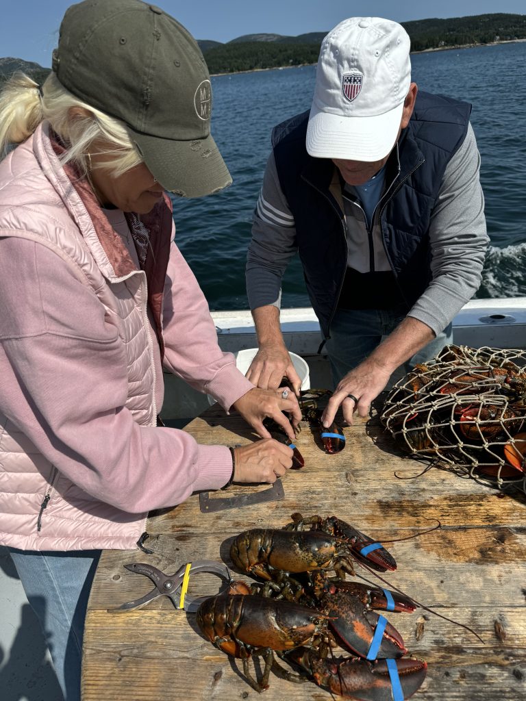 Escape To Maine
