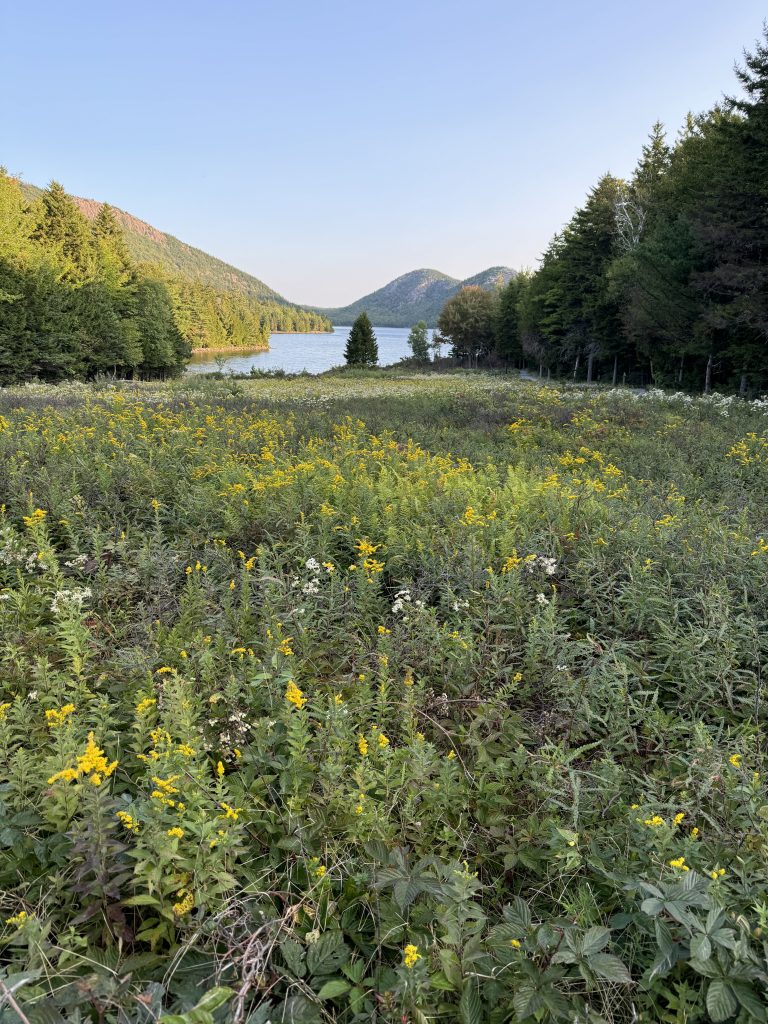 Escape To Maine