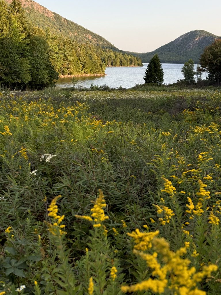 Escape To Maine
