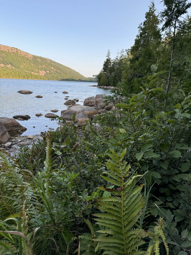 Escape To Maine
