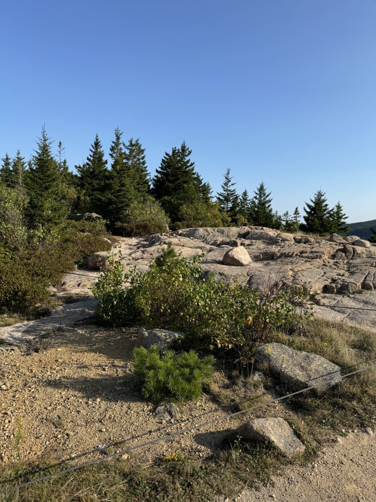 Escape To Maine