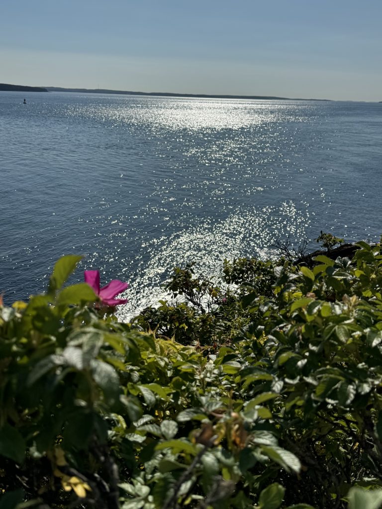 Escape To Maine